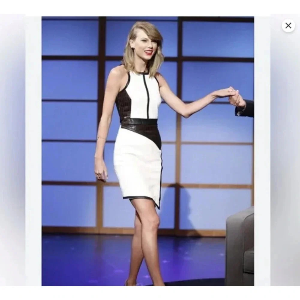 EUC Jonathan Simkhai Crocodile Snakeskin Colorblock Sheath Dress Taylor Swift - Picture 8 of 8